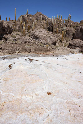 Incahuasi Island, Uyuni Salar