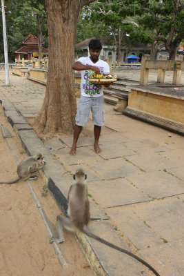 kataragama