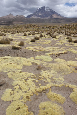 From Sajama National Park to Oruro