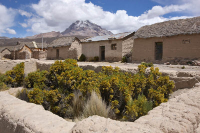 Tomarapi, from Sajama N. P. to Oruro