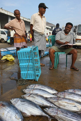 Tangalle harbour