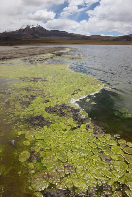 Sajama National Park