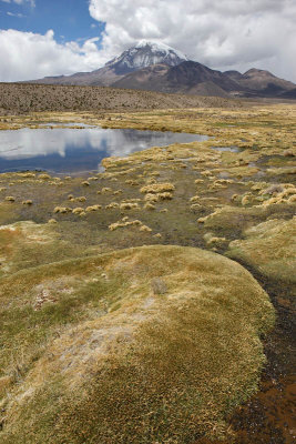 Sajama National Park