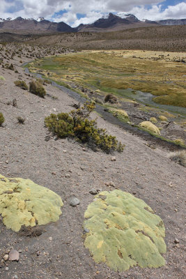 Sajama National Park