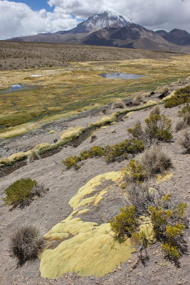 Sajama National Park