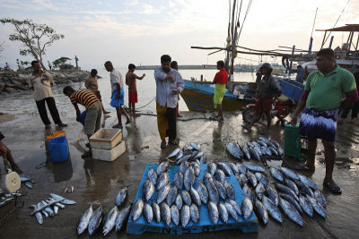 Tangalle harbour