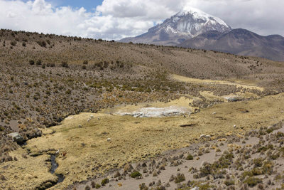 Sajama National Park