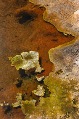 Sajama National Park, Geyser Field