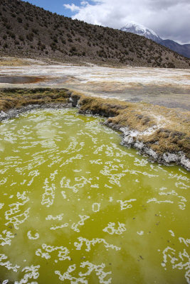 Sajama National Park, Geyser Field