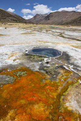 Sajama National Park, Geyser Field