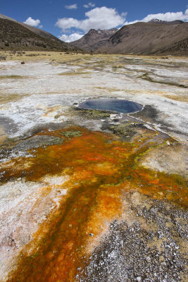 Sajama National Park, Geyser Field