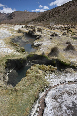 Sajama National Park, Geyser Field