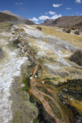 Sajama National Park, Geyser Field