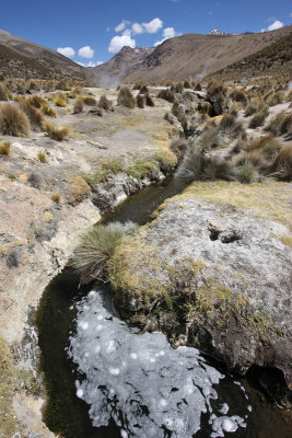 Sajama National Park, Geyser Field