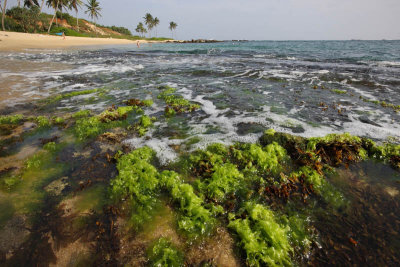 Unakuruwa beach east