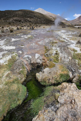 Sajama National Park, Geyser Field