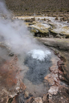 Sajama National Park, Geyser Field