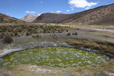 Sajama National Park, Geyser Field