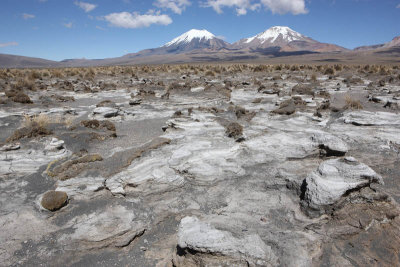 Sajama National Park, on the way to Geyser Field