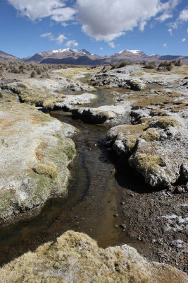 Sajama National Park, on the way to Geyser Field