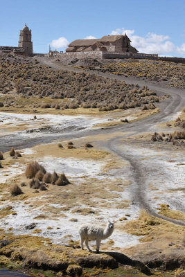 Sajama National Park, Sajama village