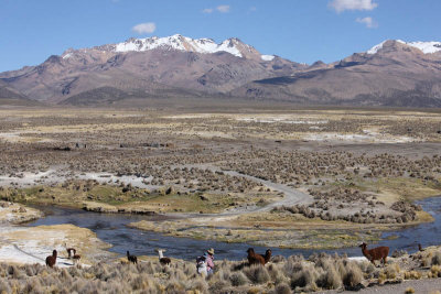 Sajama National Park, near Sajama village