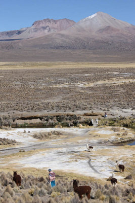 Sajama National Park, near Sajama village