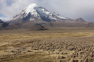 Sajama National Park