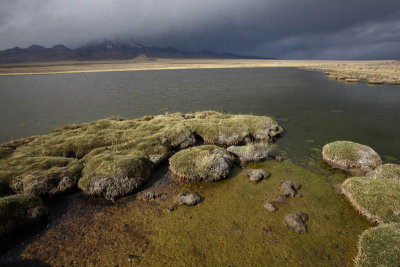 Sajama National Park