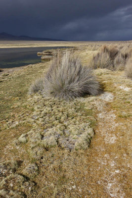 Sajama National Park