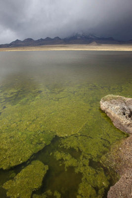 Sajama National Park