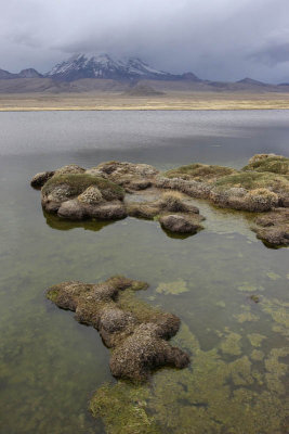 Sajama National Park