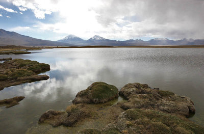 Sajama National Park