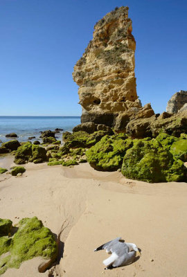 Marinha beach, Portugal