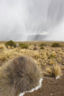 From La Paz to Sajama National Park