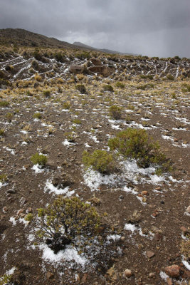 From La Paz to Sajama National Park