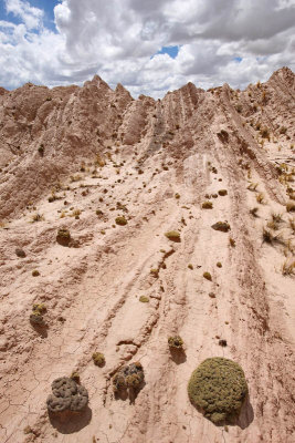 From La Paz to Sajama National Park