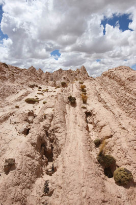 From La Paz to Sajama National Park