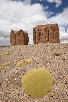 From La Paz to Sajama National Park, Chullpas near Curahuara