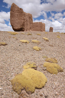 From La Paz to Sajama National Park, Chullpas near Curahuara