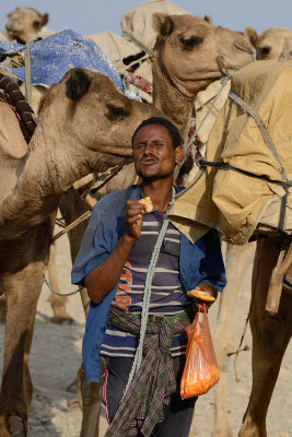 Hamedela, camel caravan