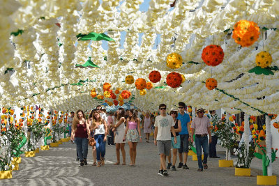 Flower Festivity, Campo Maior, Portugal