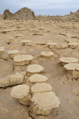 Danakil Depression, Dallol