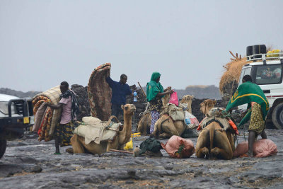 Camp Dodem, return volcano