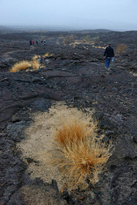 From the volcano to Camp Dodem