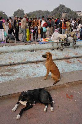 New Delhi, market near Juma Masjid