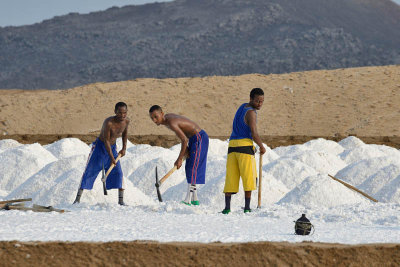 Lake Afdera salt collection