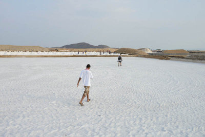 Lake Afdera salt collection