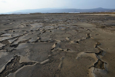 Lake Afdera salt collection