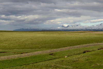 On the way to Vopnafjordur